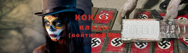 дмт Дмитровск