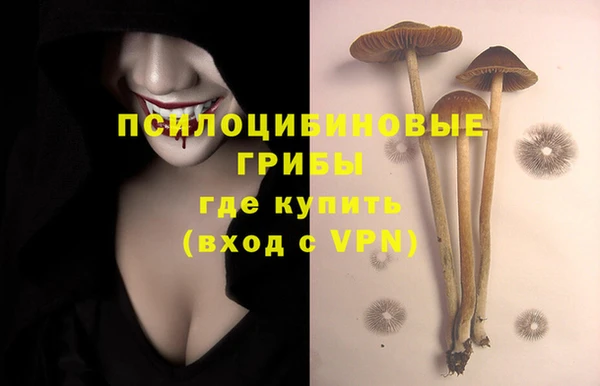 дмт Дмитровск