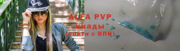гашик Дмитриев