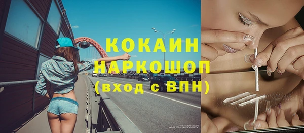 дмт Дмитровск