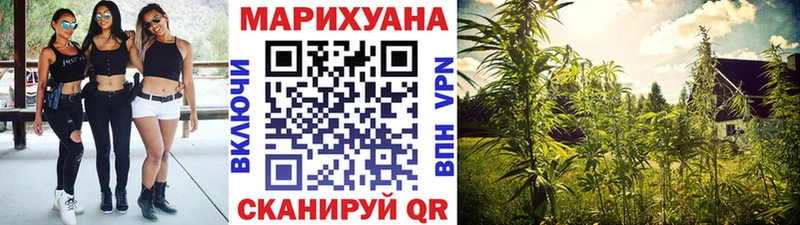 Купить  Ярославль  Канабис Amnesia 
